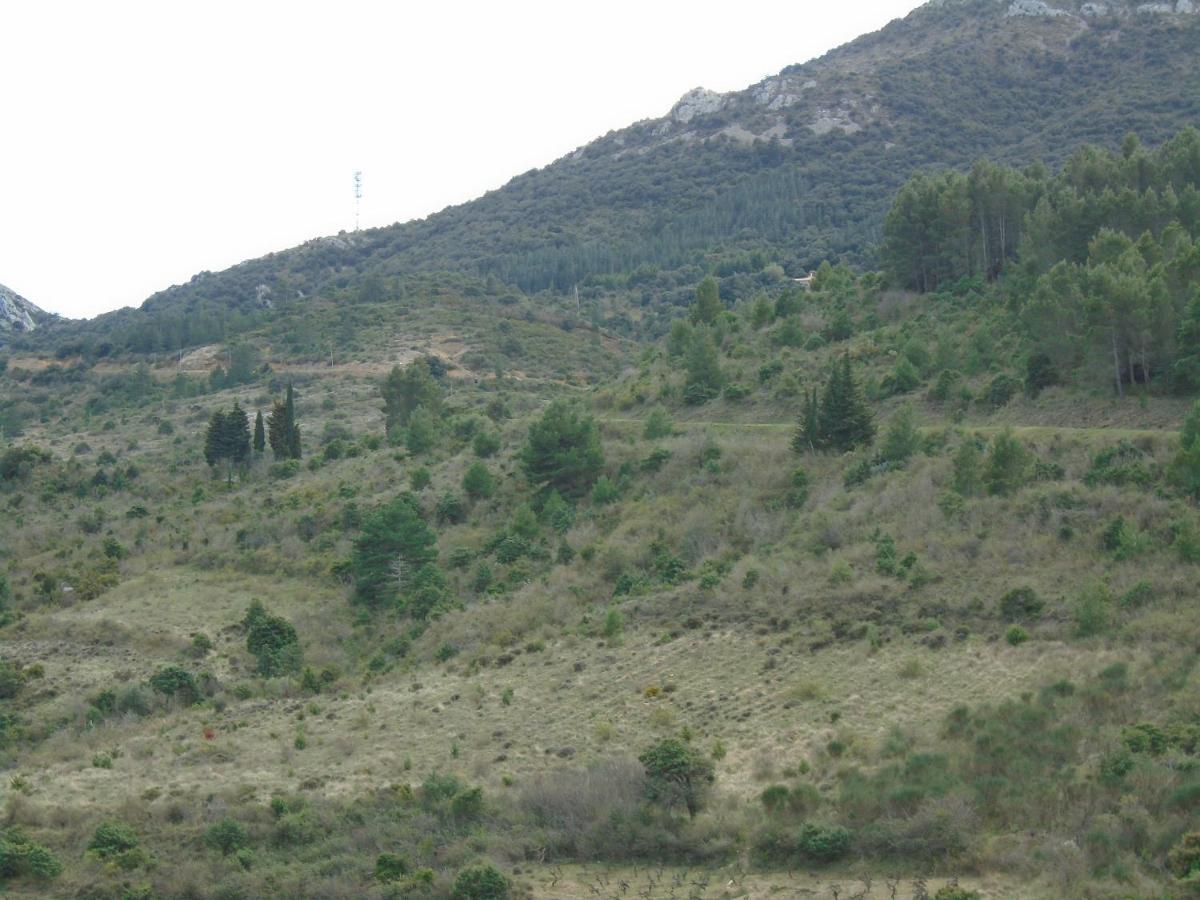 Gîte la tramontane Cucugnan Exterior foto